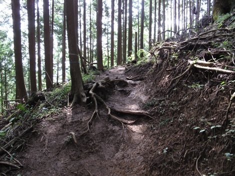 20150929hike (96)